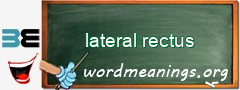 WordMeaning blackboard for lateral rectus